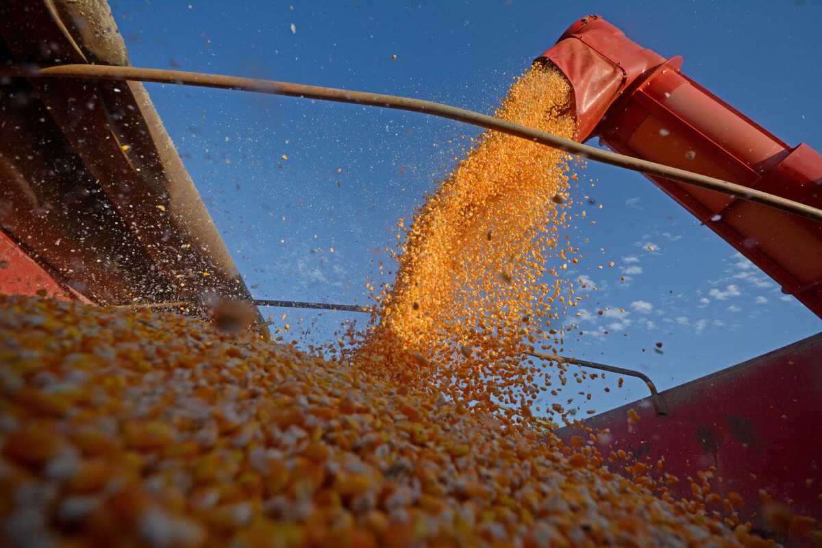 Leia mais sobre o artigo Produto Interno Bruto cresce no 3º trimestre diante de retração prevista pelo mercado